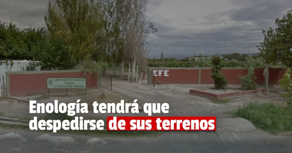 En 4 días desocuparán los terrenos de Enología