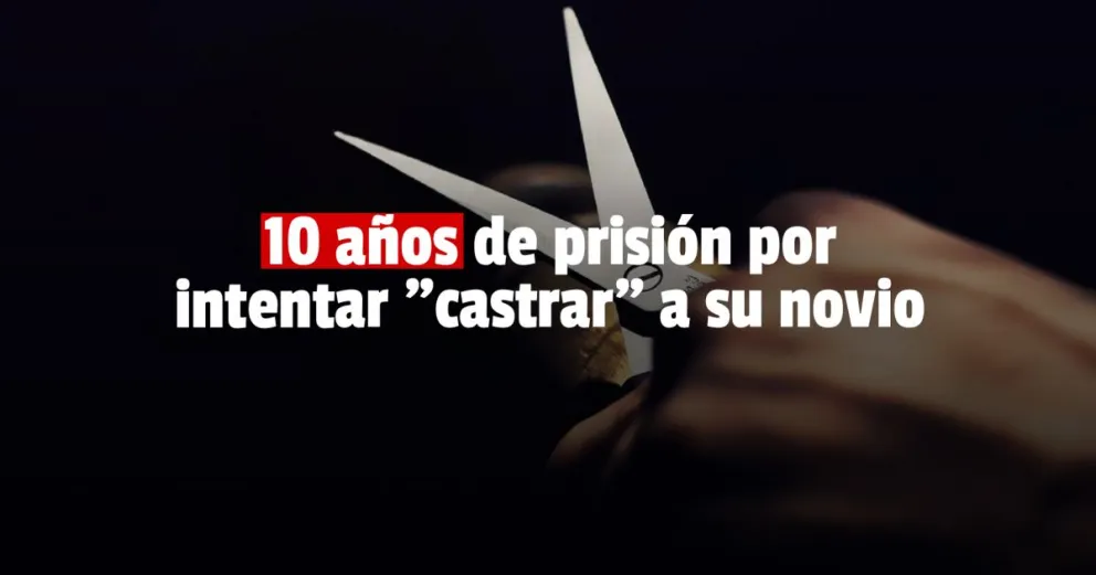 La mujer que intentó mutilar a su pareja aceptó 10 años de prisión