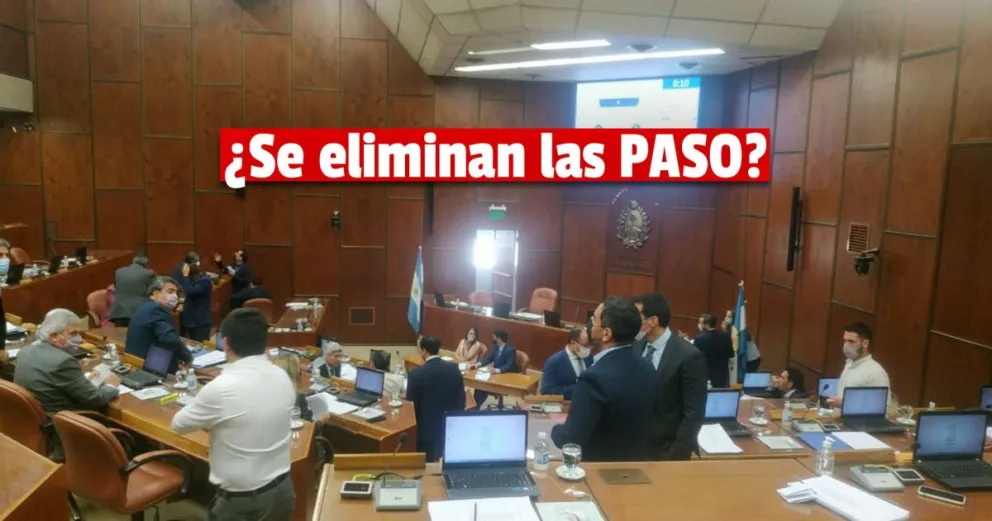 Ingresó un proyecto para modificar el Código Electoral y eliminar las PASO