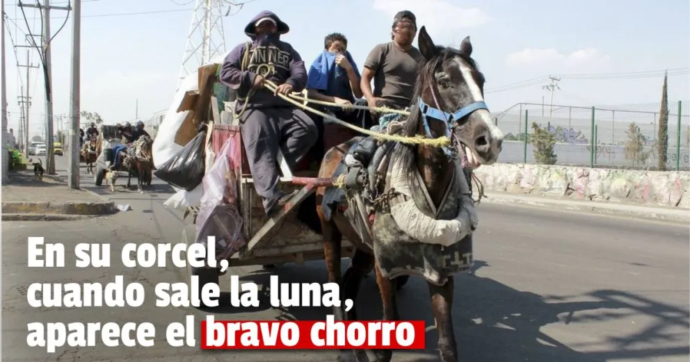 Robó dos pájaros y huyó en un caballo herido: deberá pasar más de 4 años preso