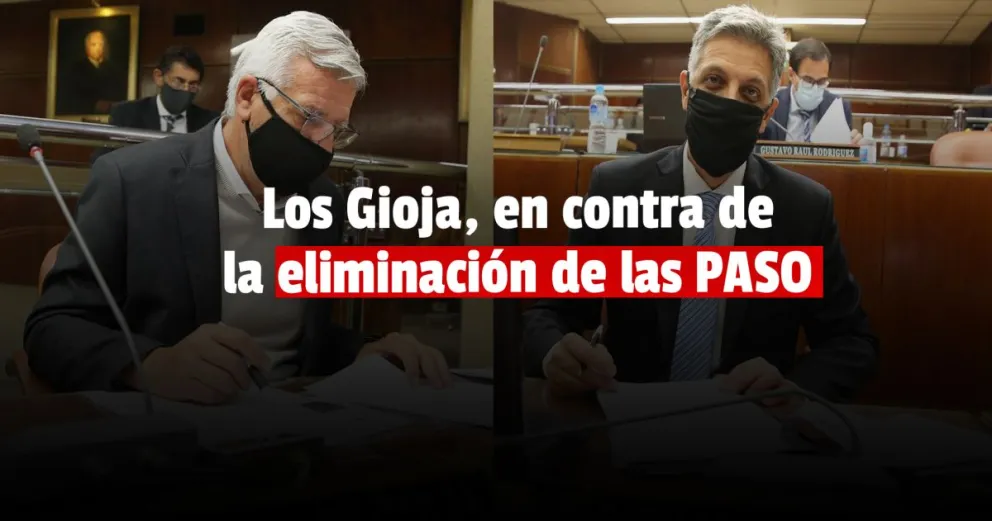El giojismo pidió declarar inconstitucional la eliminación de las PASO